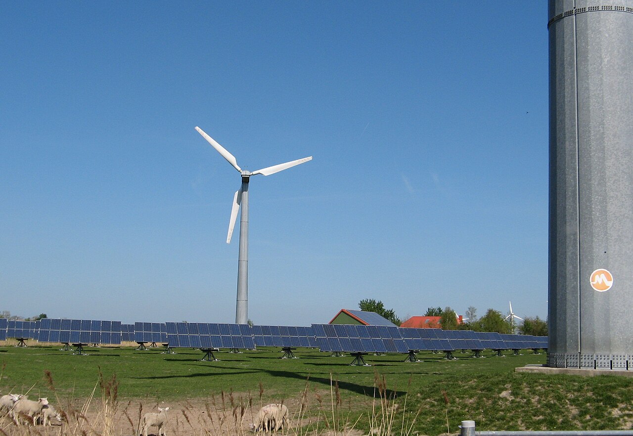 Windrad und Reihen von Solarmodulen auf einer grünen Wiese, davor grasen Schafe