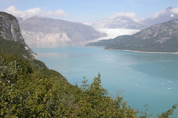 Foto von 2004 vom gleichen Fjord: offenes Wasser und grüne Pflanzen, der Gletscher ist weit zurückgewichen
