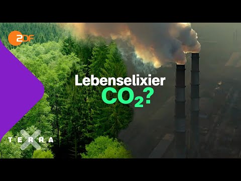 Vorschaubild des Terra-X-plus-Videos über CO₂